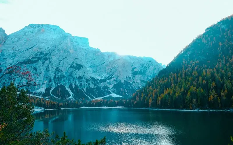 高端高标准